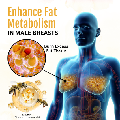 💪🏻TAILEDEN® Bee Toxin Gynecomastia Oil