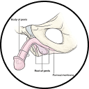 DM 20251027195807 001