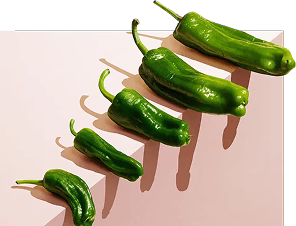 DM 20251027200439 001