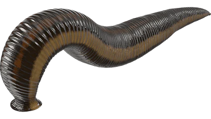 DM 20251027202711 001