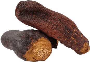 DM 20251027203233 001