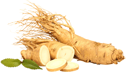 DM 20251027203234 001